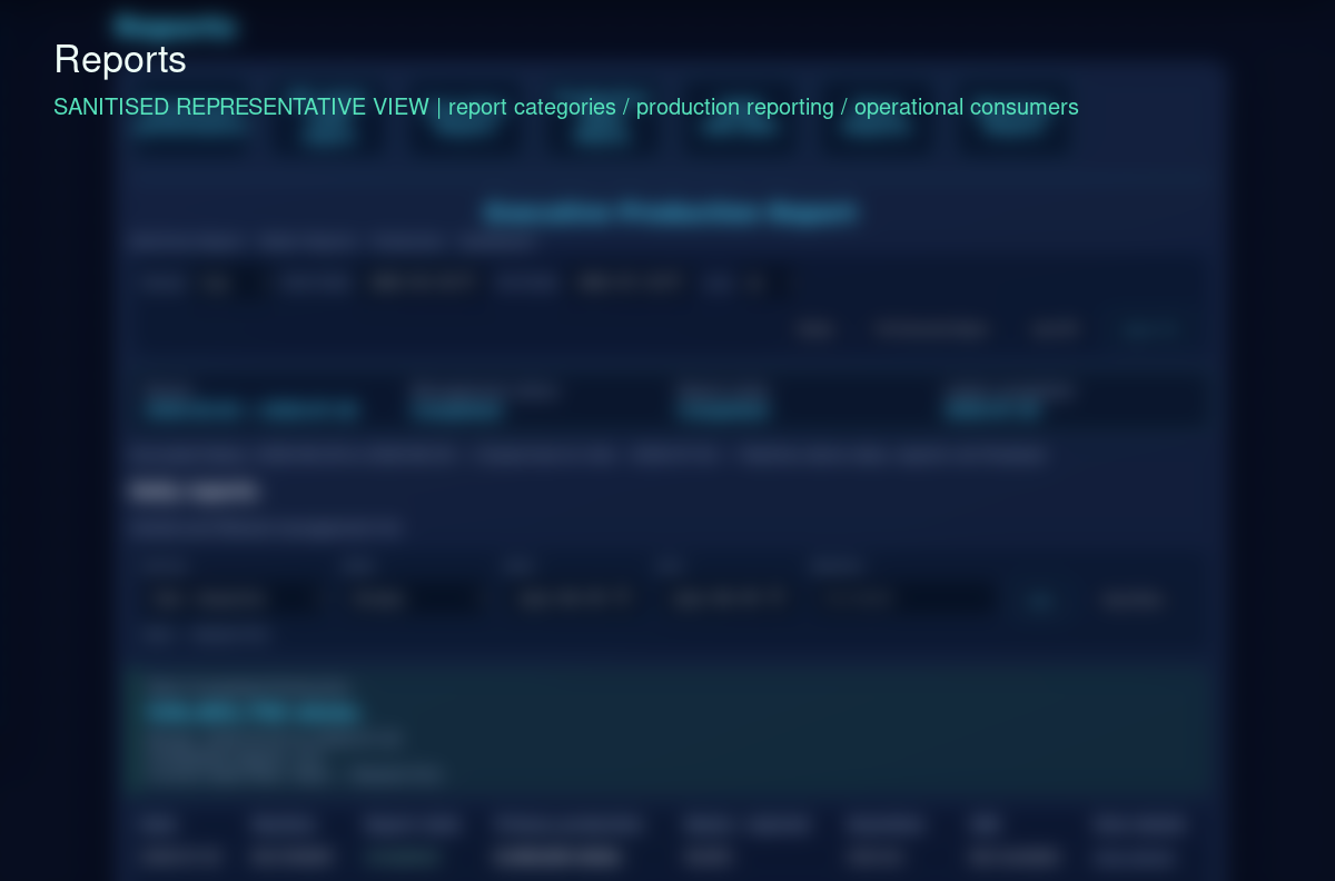Sanitized BTC reporting workspace showing normalized operational data structure.